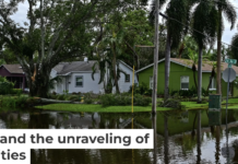 In fall 2024, Tampa and other Florida cities on the Gulf coast were hit by hurricanes Helene and Milton within 13 days of each other. Giorgio Viera/AFP via Getty Images
